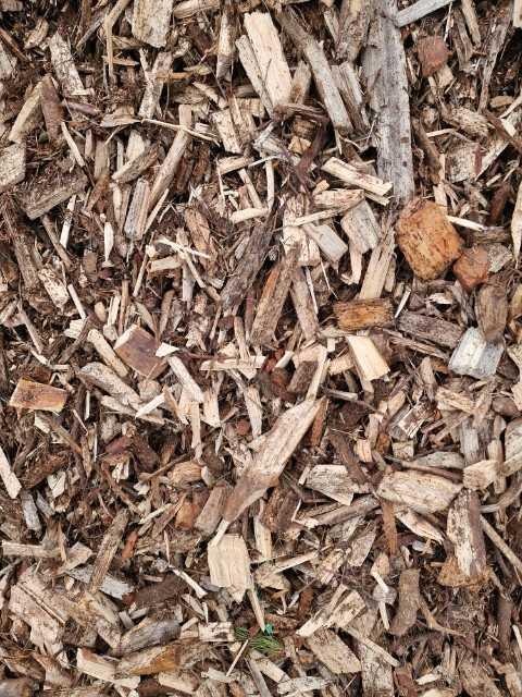 Drobne, nieregularne kawałki zrębków drzewnych w różnych odcieniach brązu i beżu, z widocznymi fragmentami kory i igliwia.