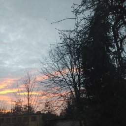 Krecik Ogrodnik - Trawa z Rolki Szczecin