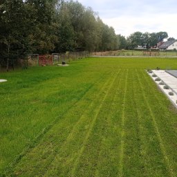 Fundamenty Gogołowa 4