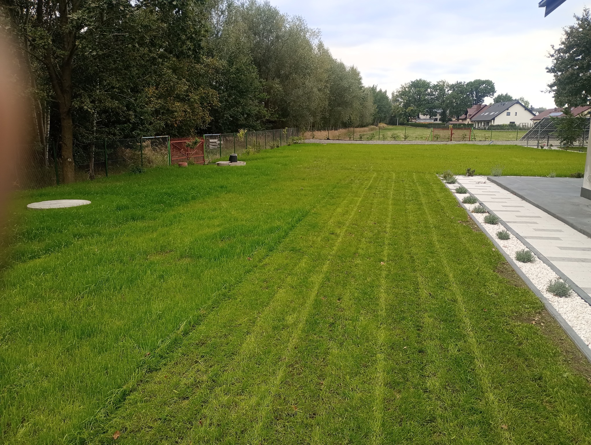 Zadbany trawnik z równo przystrzyżoną trawą, obok ścieżka z kamieni ozdobnych i niskich krzewów. W tle ogrodzenie i drzewa.