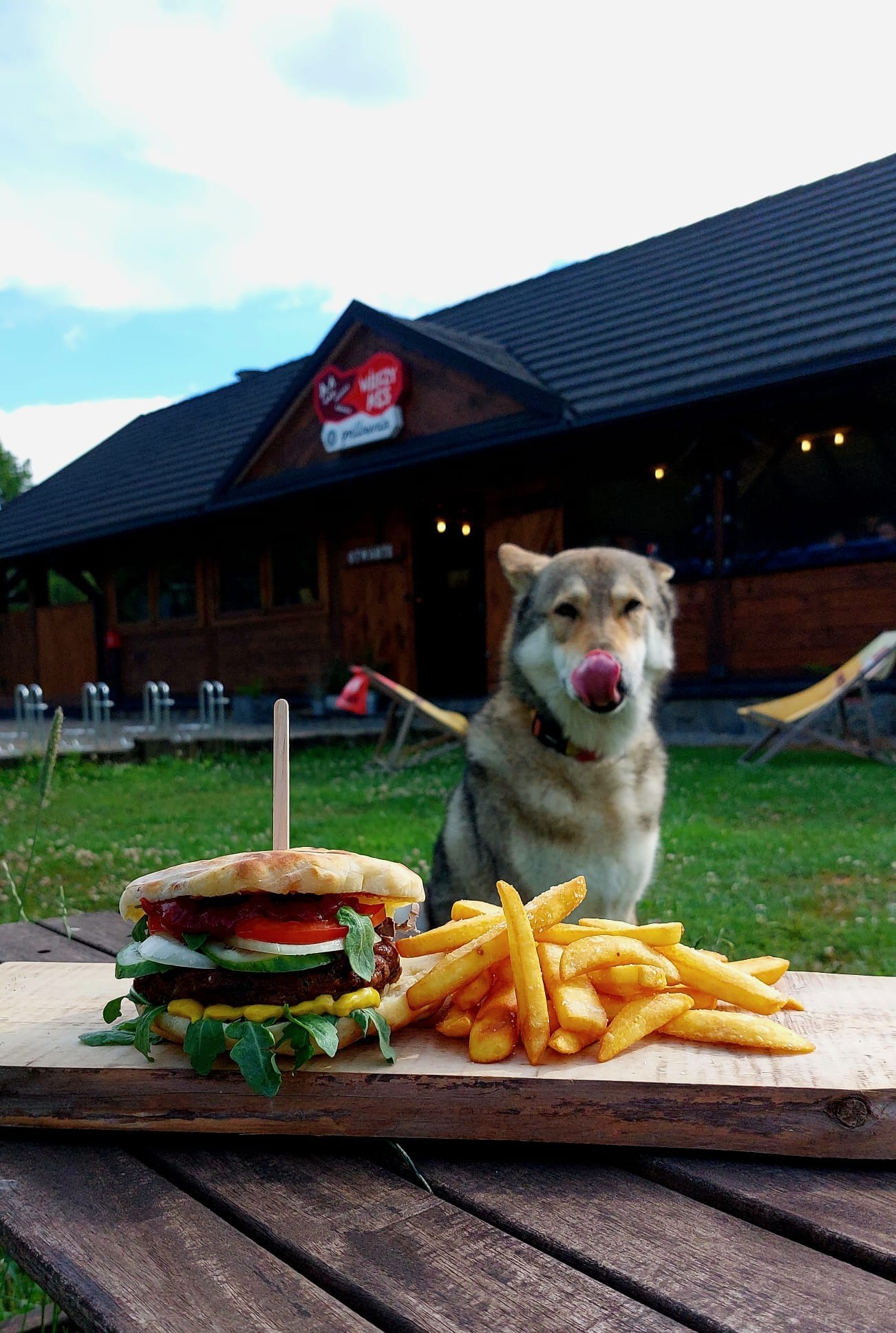 Burger z frytkami na drewnianej desce, w tle pies liżący nos i budynek restauracji z logo 'Wieży K3'