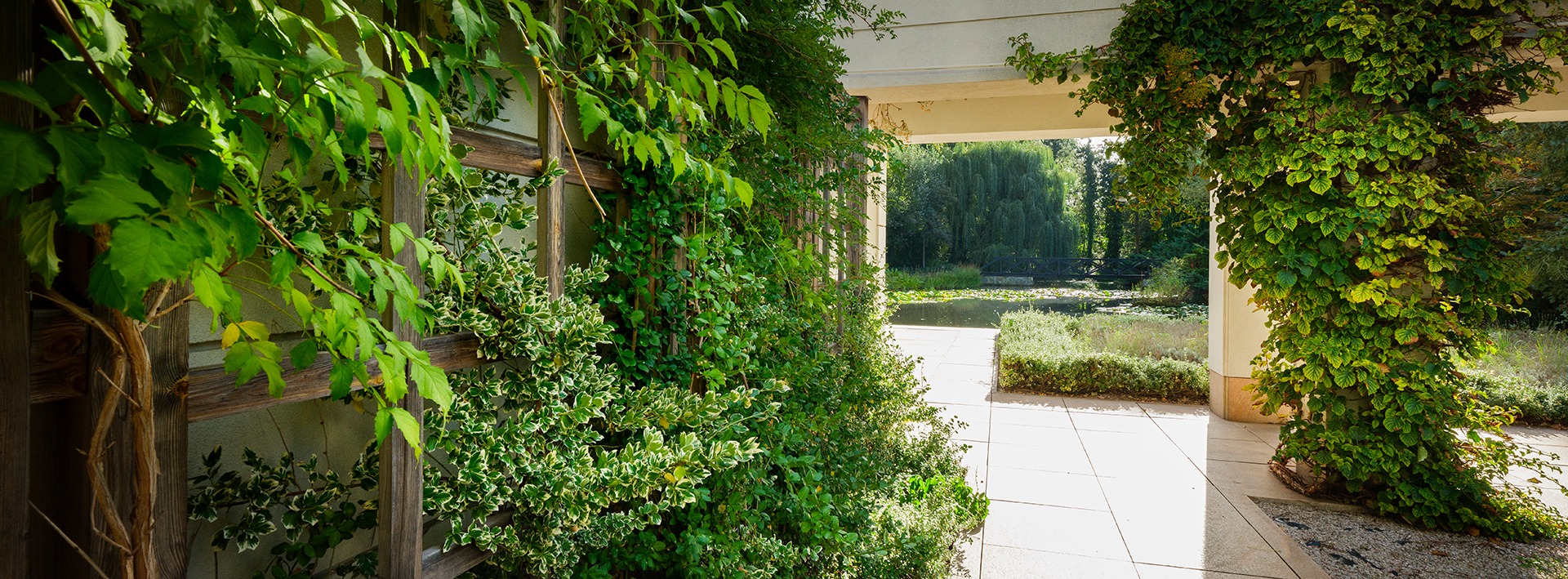 Pergola porośnięta zielenią z widokiem na staw i mostek w tle, jasna kamienna podłoga.