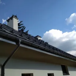 Nowoczesny dach z ciemnej blachy trapezowej, widoczne rynny, komin z zielenią na szczycie i błękitne niebo z chmurami w tle.