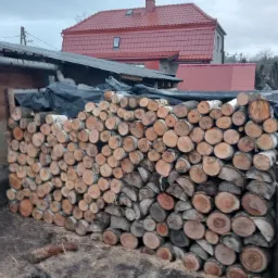 Świeżo pocięte i ułożone drewno brzozowe na opał, zabezpieczone czarną folią, z widocznym domem w tle.