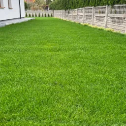 Gęsta, soczysta trawa na posesji przylegającej do nowego domu z szarą kostką brukową i betonowym ogrodzeniem z dekoracyjnymi elementami.