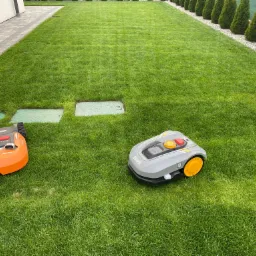 Dwa roboty koszące różnych marek na idealnie przystrzyżonym trawniku z widocznymi śladami koszenia, w tle rząd tuj i budynek.