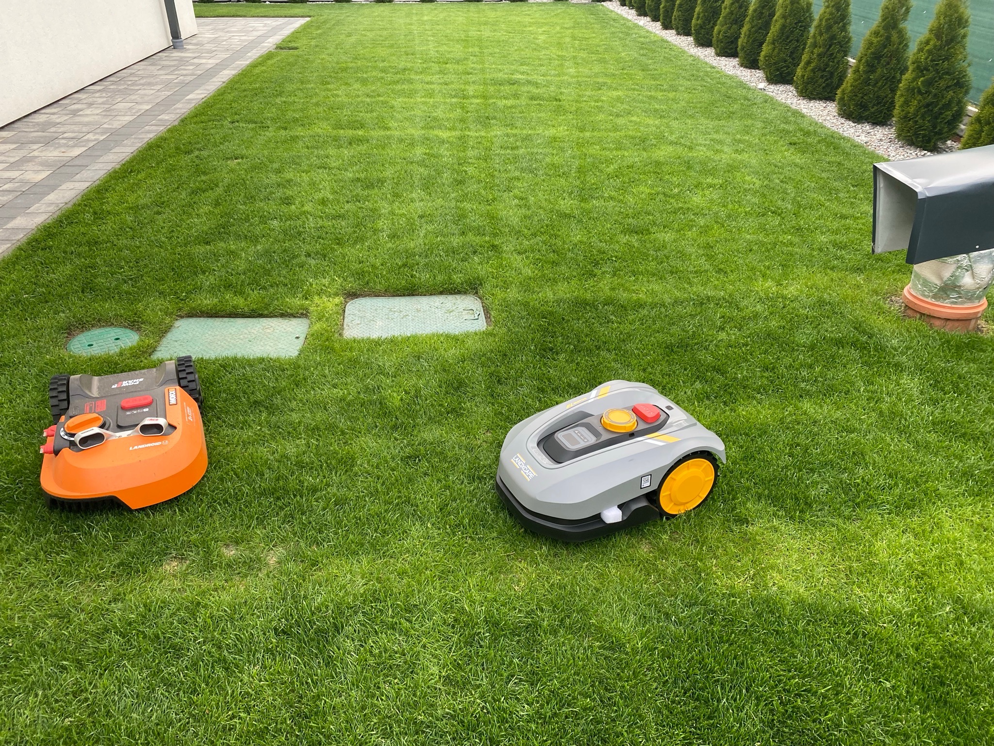 Dwa roboty koszące różnych marek na idealnie przystrzyżonym trawniku z widocznymi śladami koszenia, w tle rząd tuj i budynek.