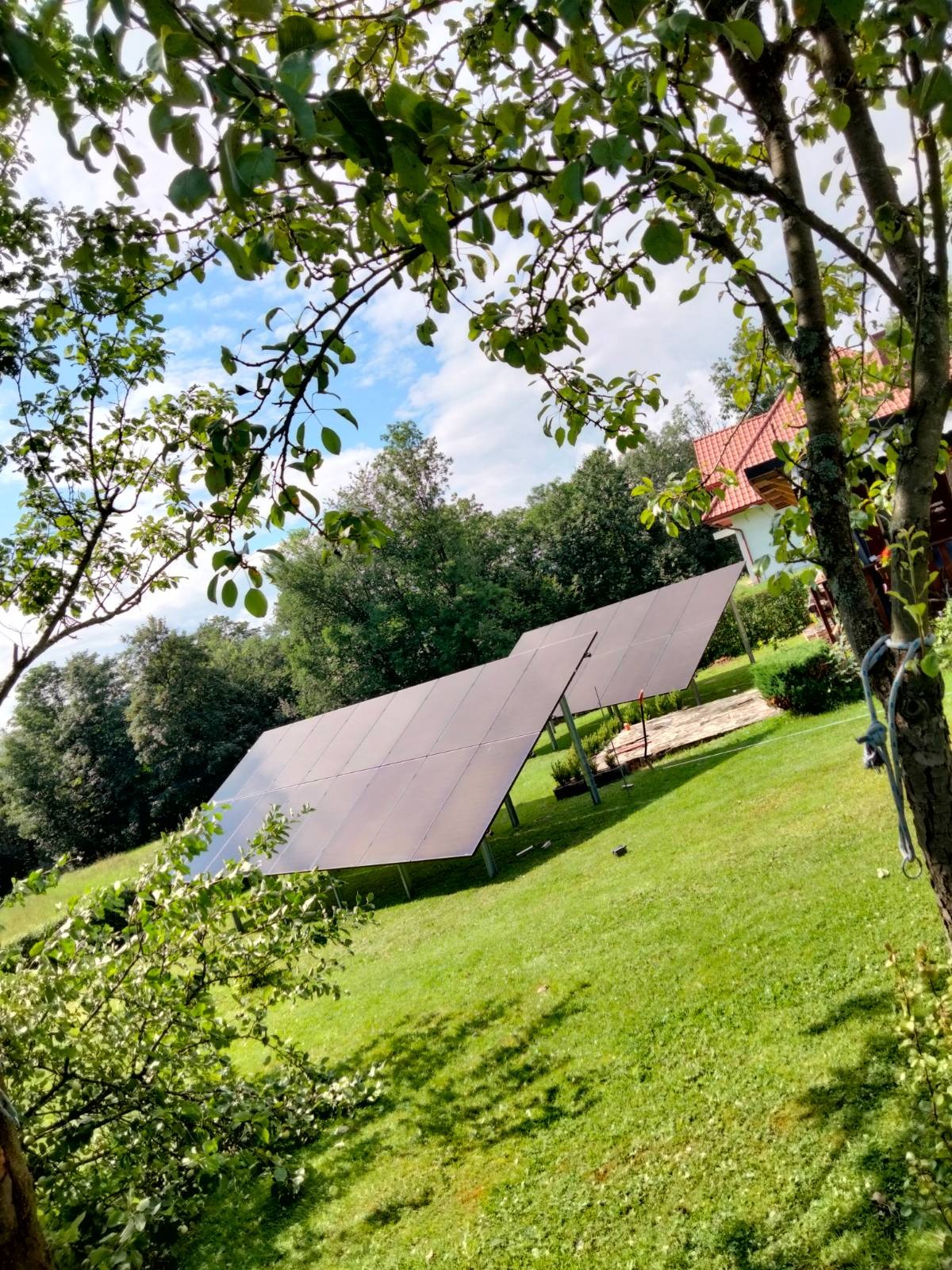 Panele słoneczne na trawniku, widok zza drzewa owocowego, w tle dom z czerwoną dachówką.