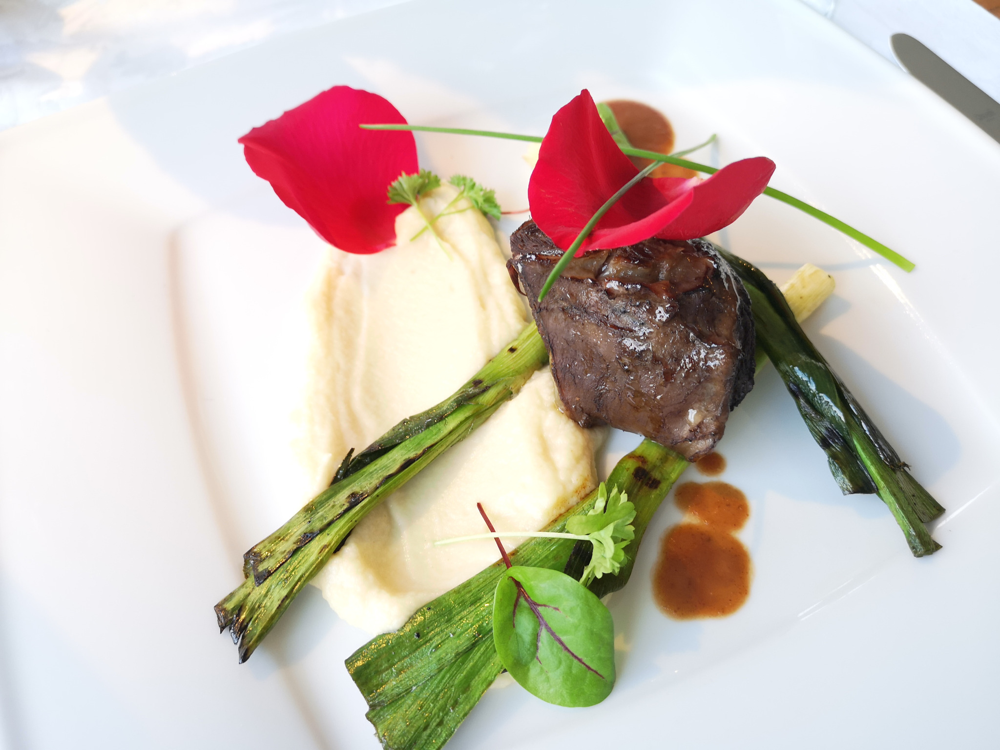 Elegancko podane danie: stek z grilla na puree ziemniaczanym, z grillowanym porem, sosem i dekoracją z płatków róży na kwadratowym białym talerzu.