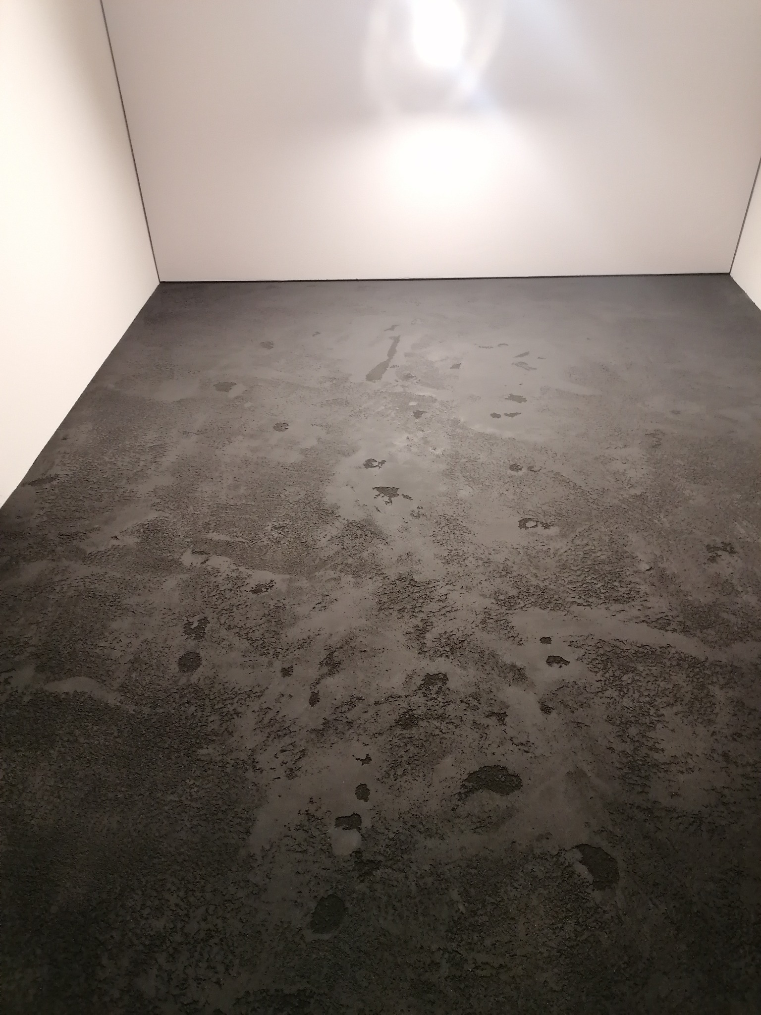 Szara, teksturowana podłoga w minimalistycznym wnętrzu z białymi ścianami i jasnym oświetleniem sufitowym.