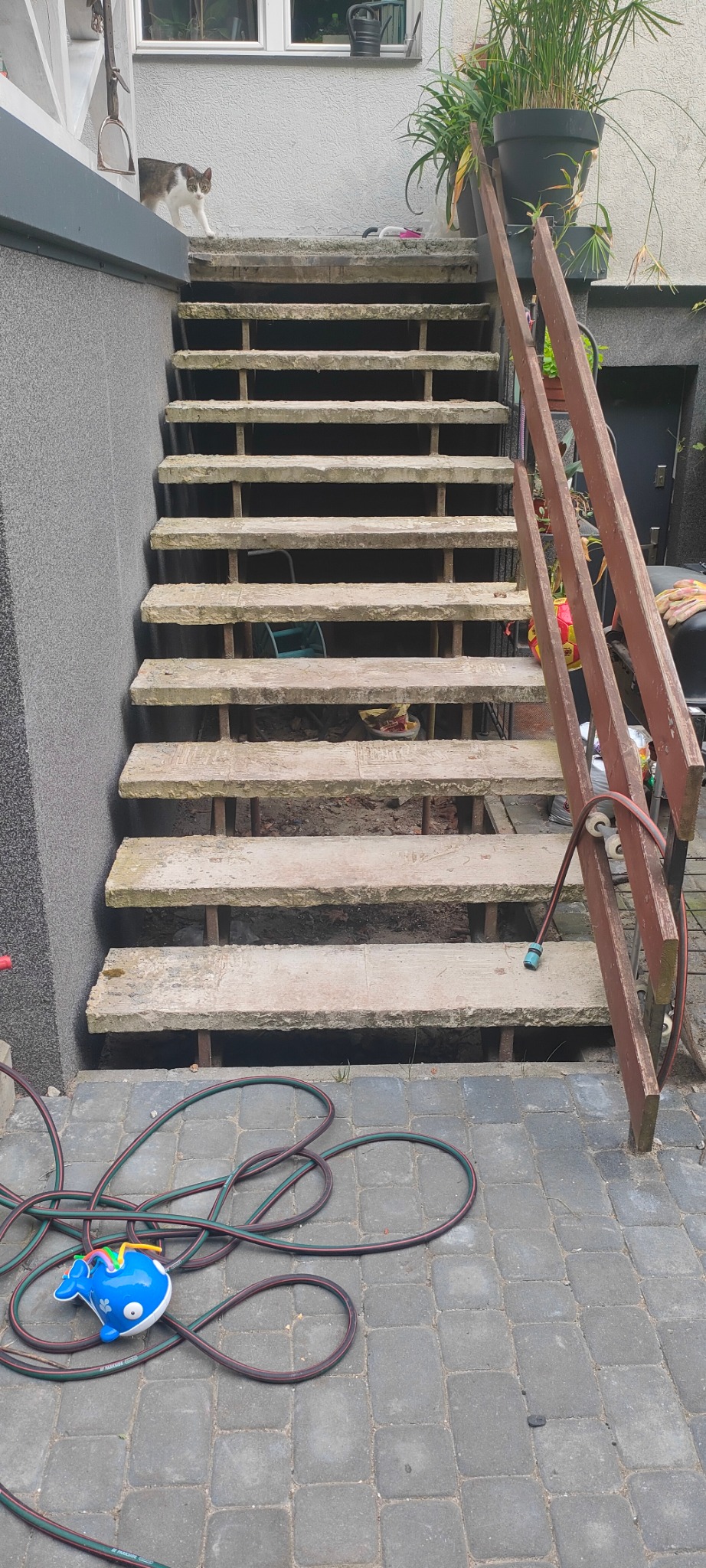 Schody betonowe w trakcie renowacji z widocznymi przerwami między stopniami, częściowo zasłonięte przez drewnianą barierkę i wąż ogrodowy z zabawką.
