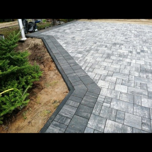 Ułożona szara kostka brukowa z ciemniejszym obramowaniem, przylegająca do rabaty z młodymi iglakami i rurą spustową.