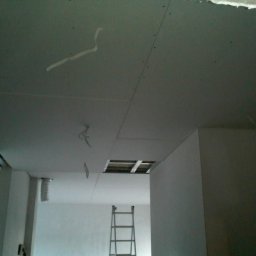 Zainstalowanie sufitu podwieszanego w całym domu oraz szpachlowanie i malowanie