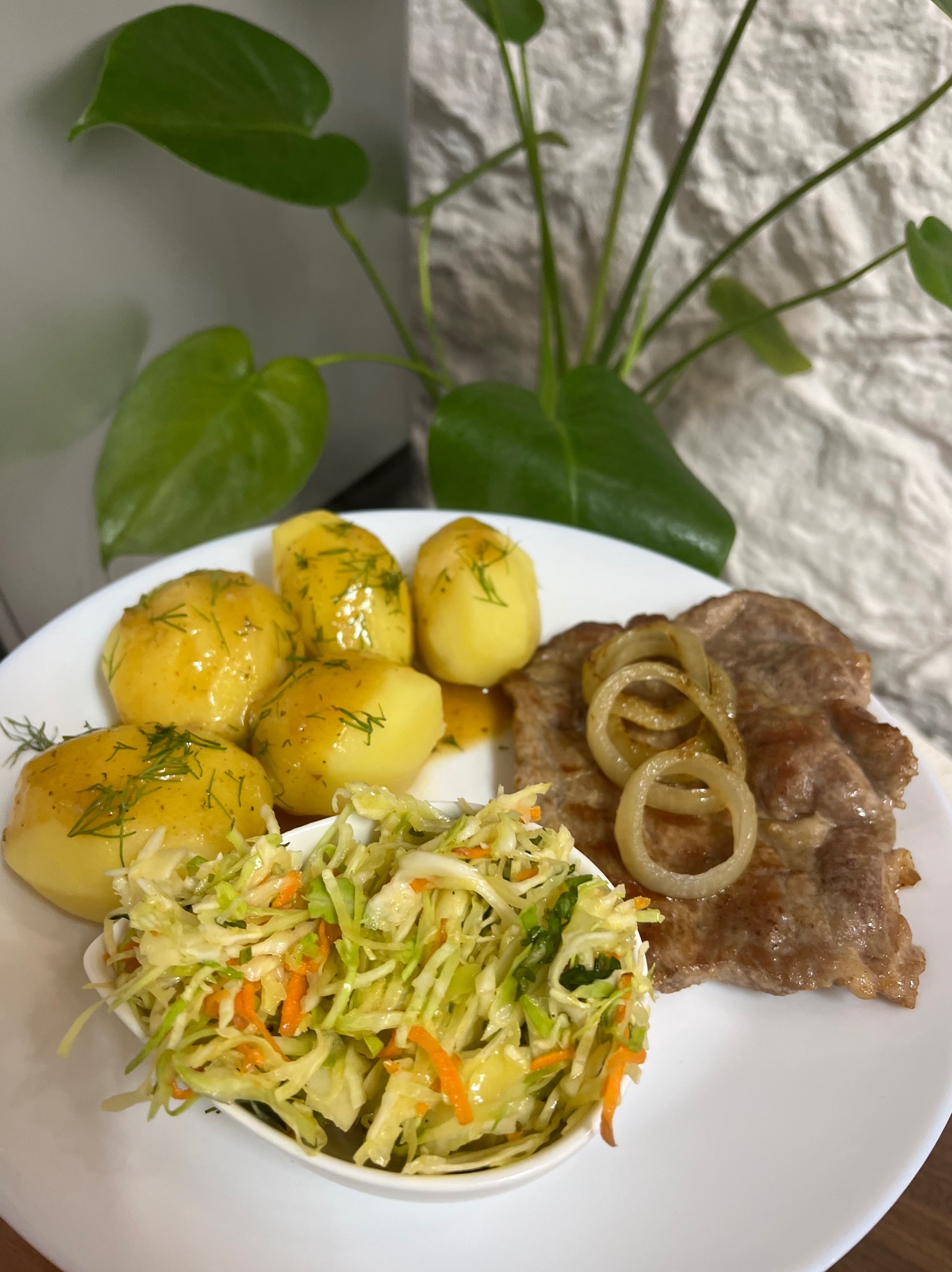 Obiad z kotletem, ziemniakami z koperkiem i surówką na talerzu, w tle roślina doniczkowa. Catering w Sierakowie.