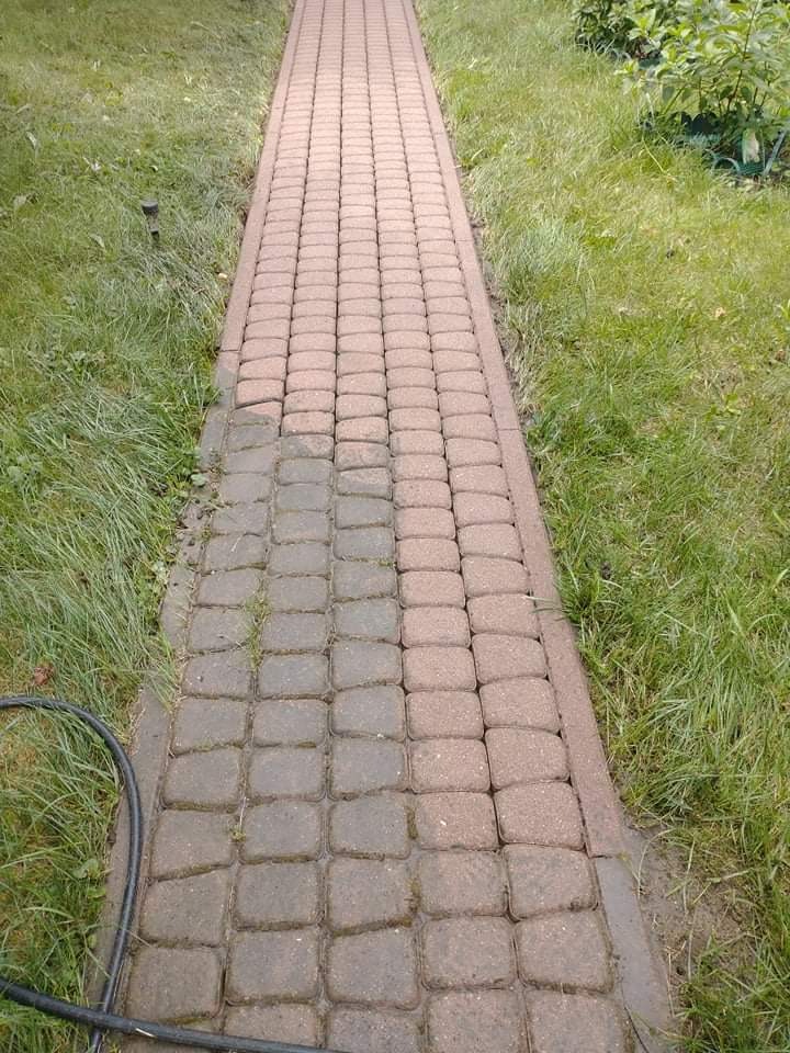 Częściowo wyczyszczona ścieżka z kostki brukowej, widoczna różnica w kolorze między czystą a brudną powierzchnią, obok trawnik i czarny wąż.