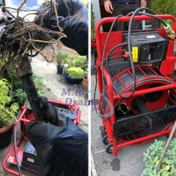 Zablokowana rura z korzeniami usunięta za pomocą elektrycznego węża do czyszczenia rur, widoczny czerwony wózek z bębnem na wąż, otoczenie z roślinami w donicach.