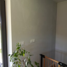 Michał  Wojtas - Świeżo pomalowana, gładka ściana w odcieniach szarości z widocznymi włącznikami światła. W rogu pokoju roślina doniczkowa i drewniana barierka zabezpieczająca schody.