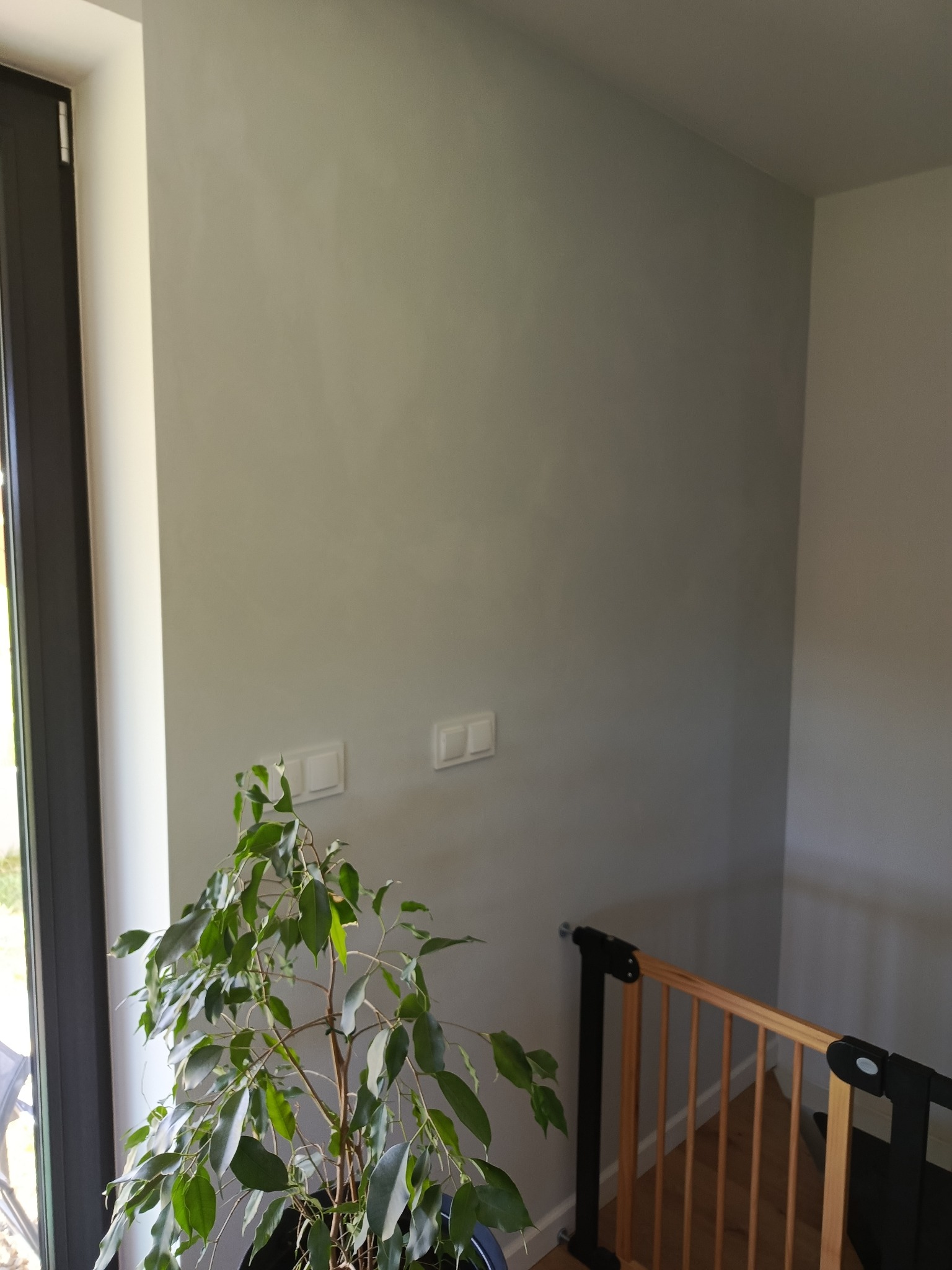 Świeżo pomalowana, gładka ściana w odcieniach szarości z widocznymi włącznikami światła. W rogu pokoju roślina doniczkowa i drewniana barierka zabezpieczająca schody.