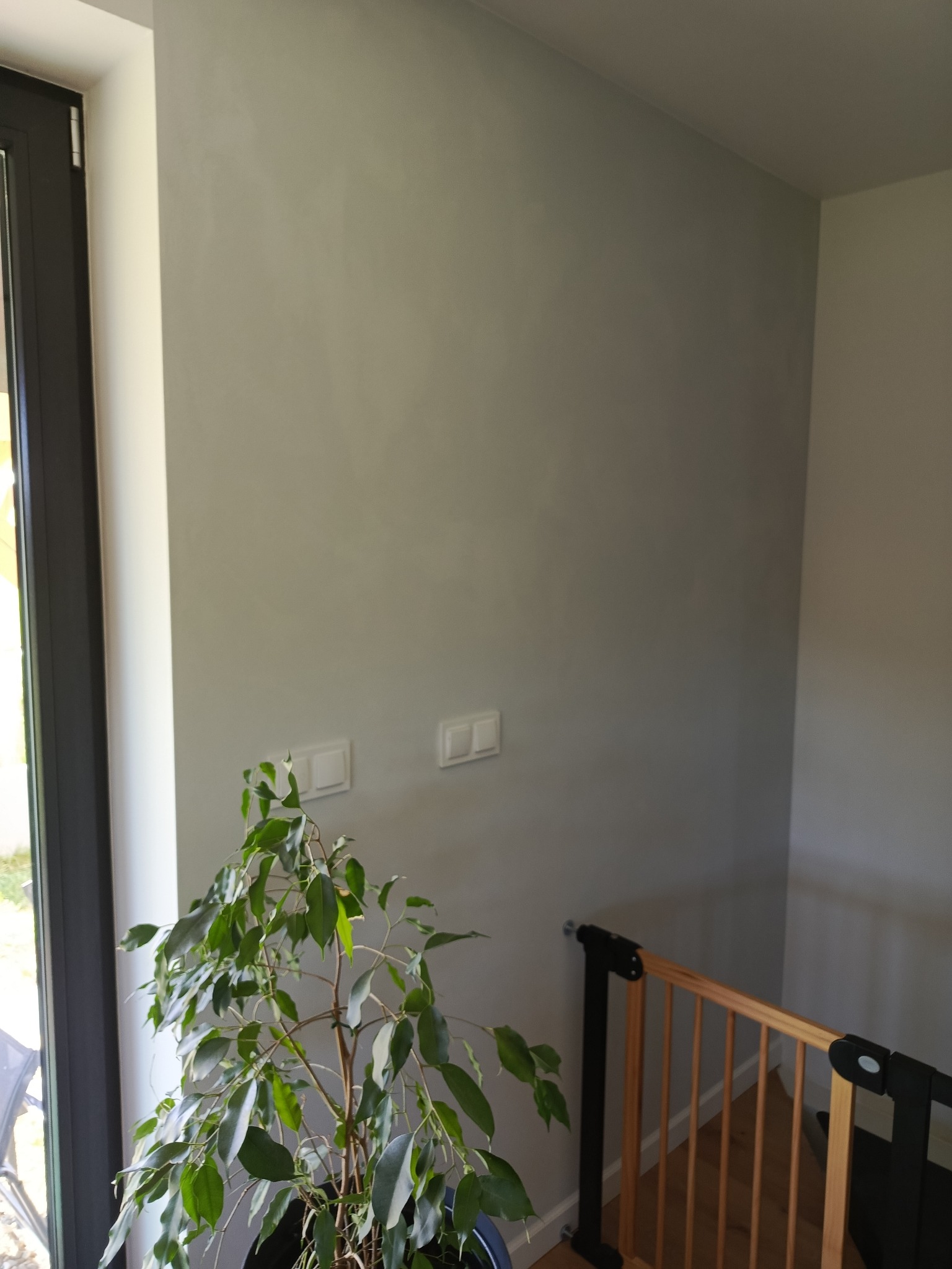 Jasnoszara ściana po gładzi, z widoczną rośliną doniczkową i barierką zabezpieczającą schody, światło dzienne z okna.