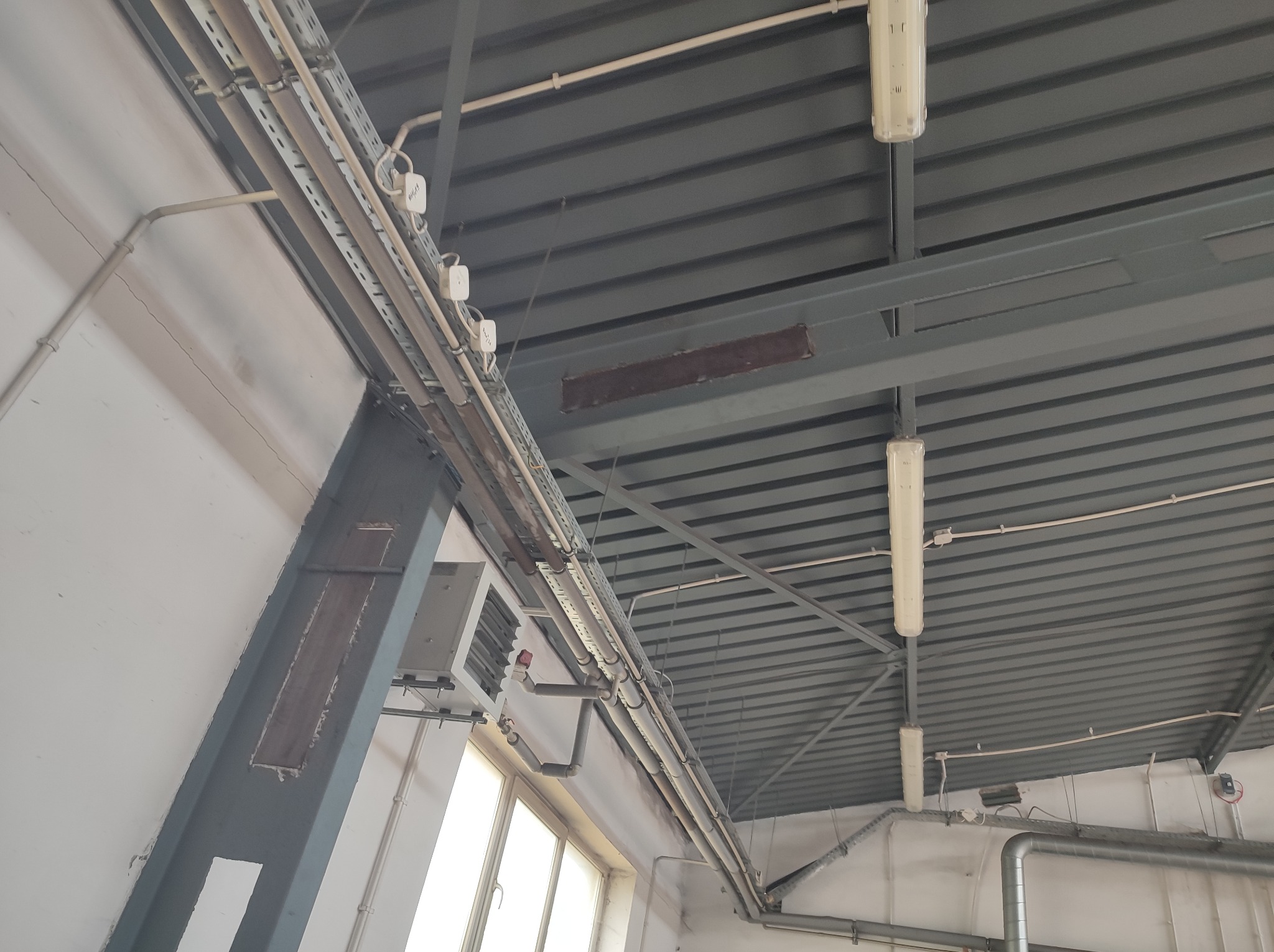 Widok z dołu na sufit hali przemysłowej z widocznymi instalacjami: rurami, przewodami elektrycznymi, oświetleniem i elementami konstrukcji stalowej.