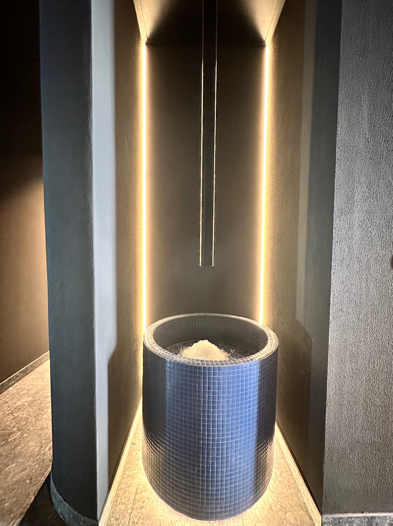 Stylowa, mozaikowa balia z lodem w strefie spa, podświetlona pionowymi lampami. Minimalistyczny design, chłodna kolorystyka, nowoczesne wykończenie.