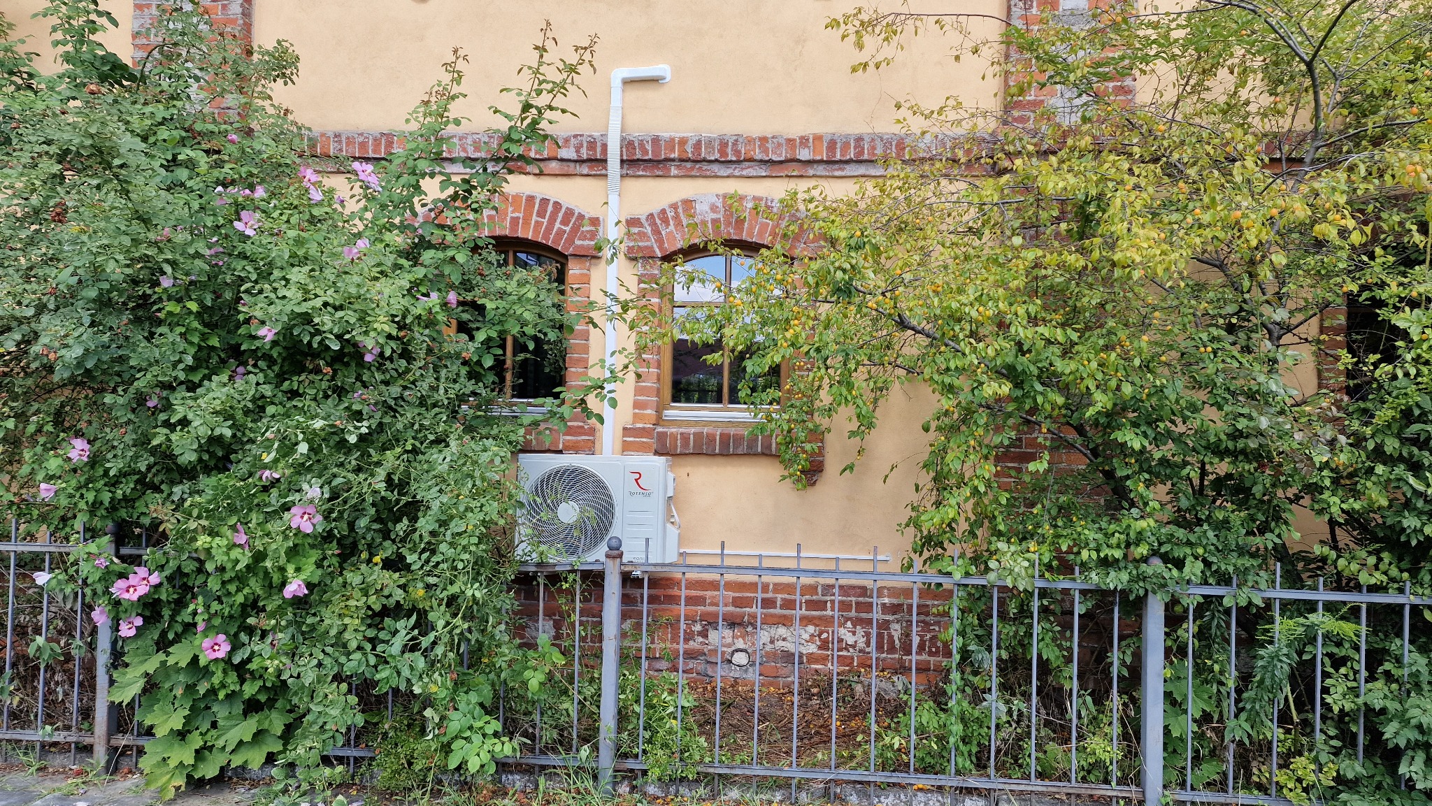 Zewnętrzna jednostka klimatyzacji zamontowana na ścianie budynku z ceglanymi obramowaniami okien, częściowo zasłonięta przez bujną roślinność i metalowe ogrodzenie.