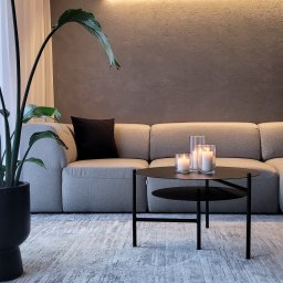 salon w stylu minimalistycznym