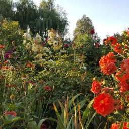 Pielęgnacja ogrodów Gdańsk 2