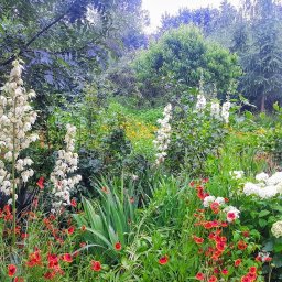 Pielęgnacja ogrodów Gdańsk 3