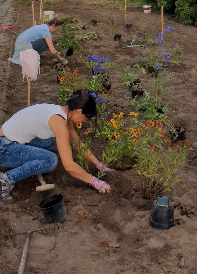 Dwie kobiety sadzą kolorowe kwiaty w rzędach na przygotowanej rabacie. W tle widoczne doniczki i narzędzia ogrodnicze.