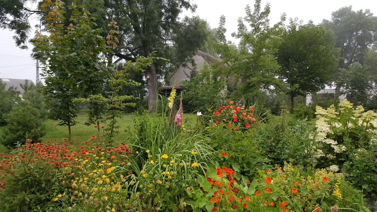 Pełen kwiatów, bujny ogród przydomowy z widokiem na budynek w tle, z różnorodnością gatunków roślin w kolorach czerwieni, żółci i bieli, tworzących malowniczy krajobraz.