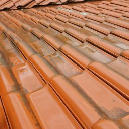 Firma Handlowo Usługowa Łukasz Jarząbek - Częściowo umyty dach z pomarańczowej dachówki ceramicznej, widoczne ślady brudu i mchu, zabezpieczony folią w dolnym rogu.