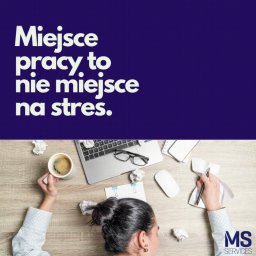 Prowadzenie Social Media, budowanie wizerunku marki, prowadzenie kampanii reklamowych dla MS Services