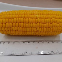 SUPER SŁODKA KUKURYDZA MROŻONA