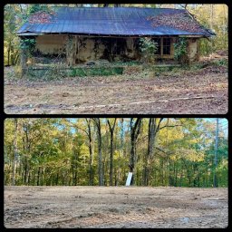 Wycinka drzew Alwernia 3