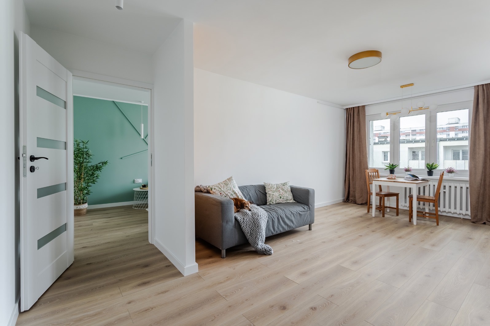 Jasne wnętrze mieszkania po remoncie, z drewnianą podłogą, szarą sofą z poduszkami i pledem, stołem z krzesłami przy oknie oraz otwartymi białymi drzwiami do pokoju z zieloną ścianą i rośliną.