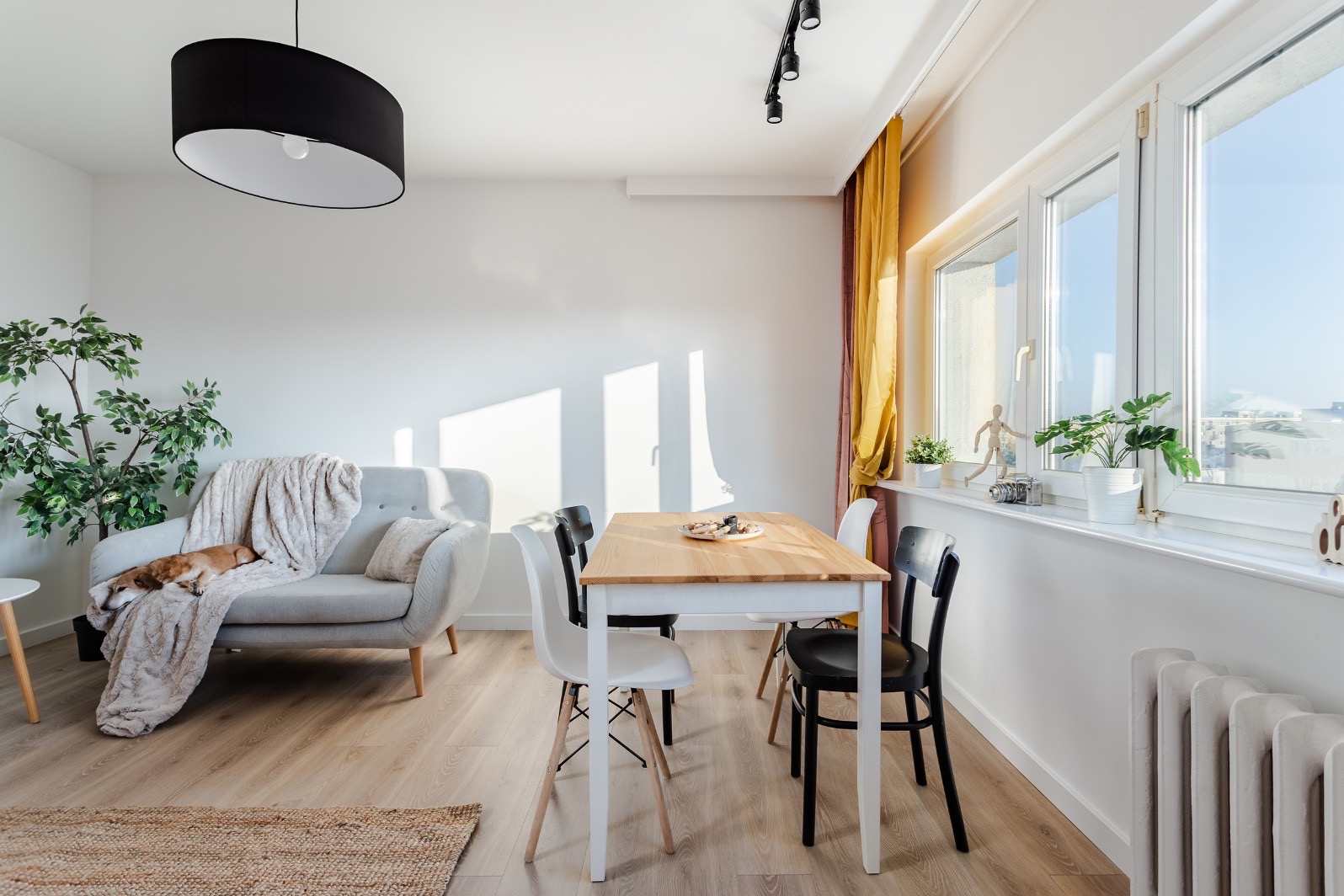 Jasne wnętrze pokoju dziennego z drewnianą podłogą, szarym narożnikiem z psem śpiącym na kocu, drewnianym stołem z czarnymi i białymi krzesłami oraz oknem z roślinami i żółtą zasłoną.