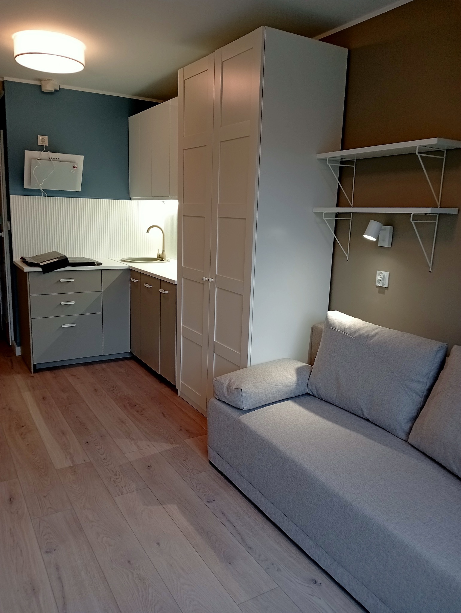 Wnętrze małego mieszkania z aneksem kuchennym w szaro-białej kolorystyce, widoczna zabudowa kuchenna, szafa wnękowa i szara sofa.