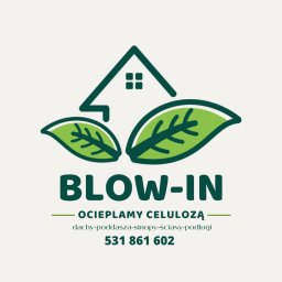 Blow In Ocieplamy poddasza - Elewacje Domów Ulan-Majorat