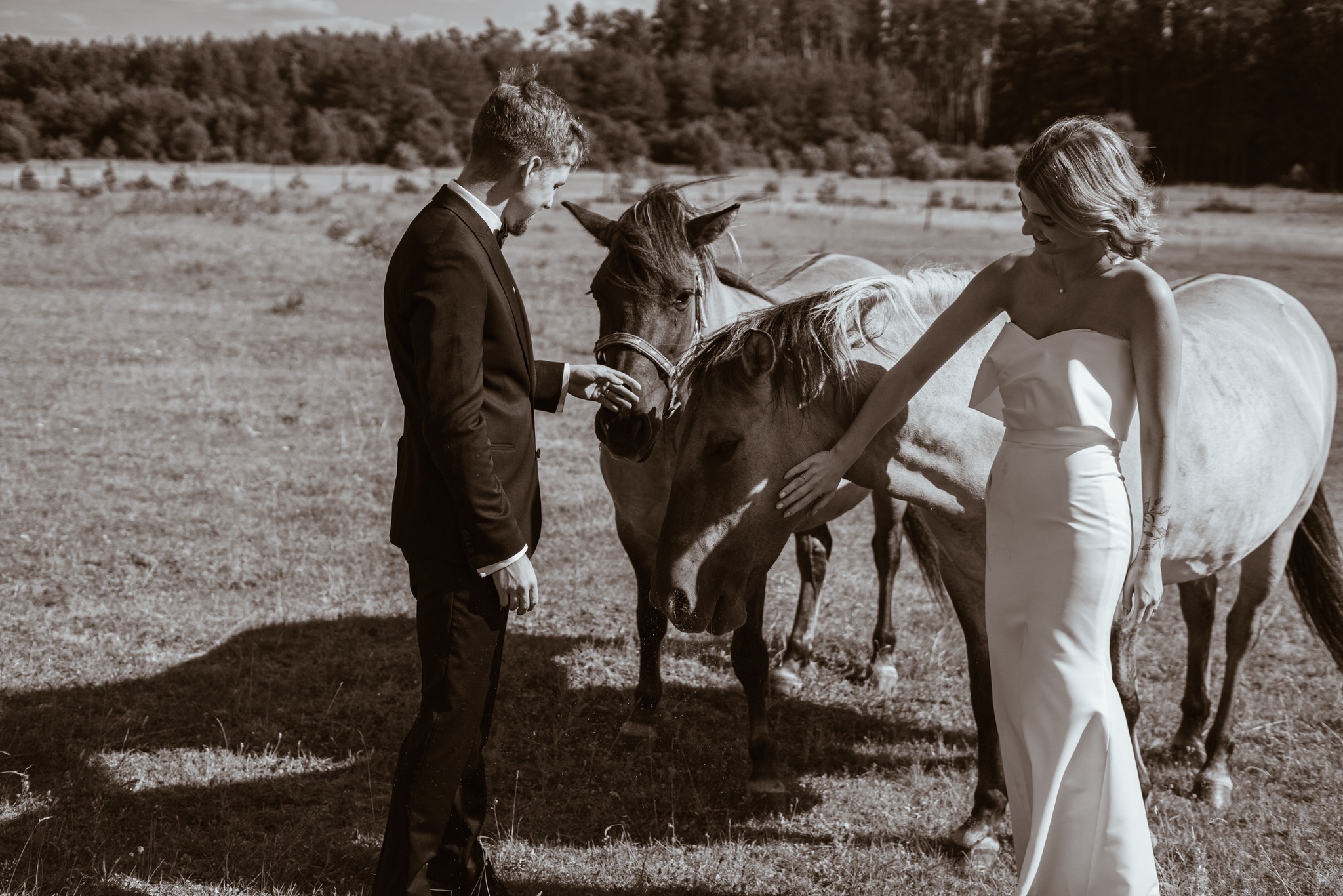 Czarno-białe zdjęcie pary młodej w eleganckich strojach, delikatnie dotykającej pysk konia na otwartym polu, z lasem w tle.