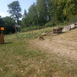 Drozd Bartłomiej - Niwelacja Terenu Lublin