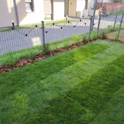 Świeżo rozłożona, intensywnie zielona darń w rolkach, obłożona korą drzewną wzdłuż metalowego ogrodzenia z dekoracyjnymi lampkami, na tle nowoczesnego budynku.