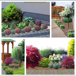 ANMAR Anna Zandecka - Kompozycja kolażu przedstawiającego różne aranżacje ogrodowe z roślinami, rabatami i elementami architektury ogrodowej, z widocznymi obrysami sugerującymi wizualizację projektu.