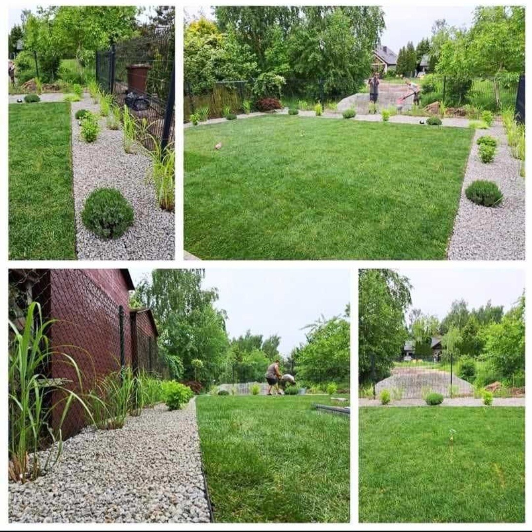 Kompozycja zdjęć prezentująca założony trawnik z rolki, obrzeża z jasnego żwiru i nasadzenia roślin ozdobnych w ogrodzie przydomowym.