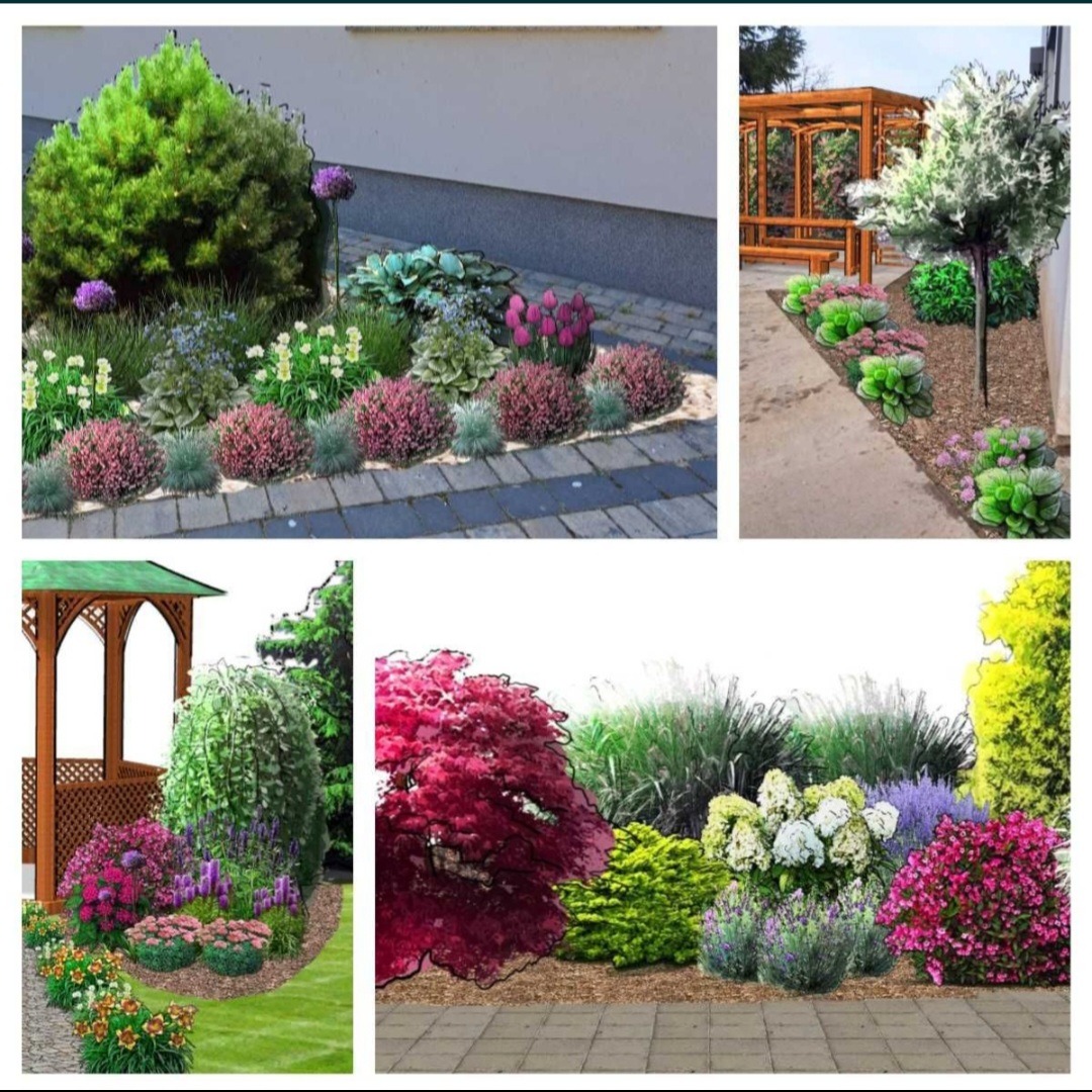 Kompozycja kolażu przedstawiającego różne aranżacje ogrodowe z roślinami, rabatami i elementami architektury ogrodowej, z widocznymi obrysami sugerującymi wizualizację projektu.