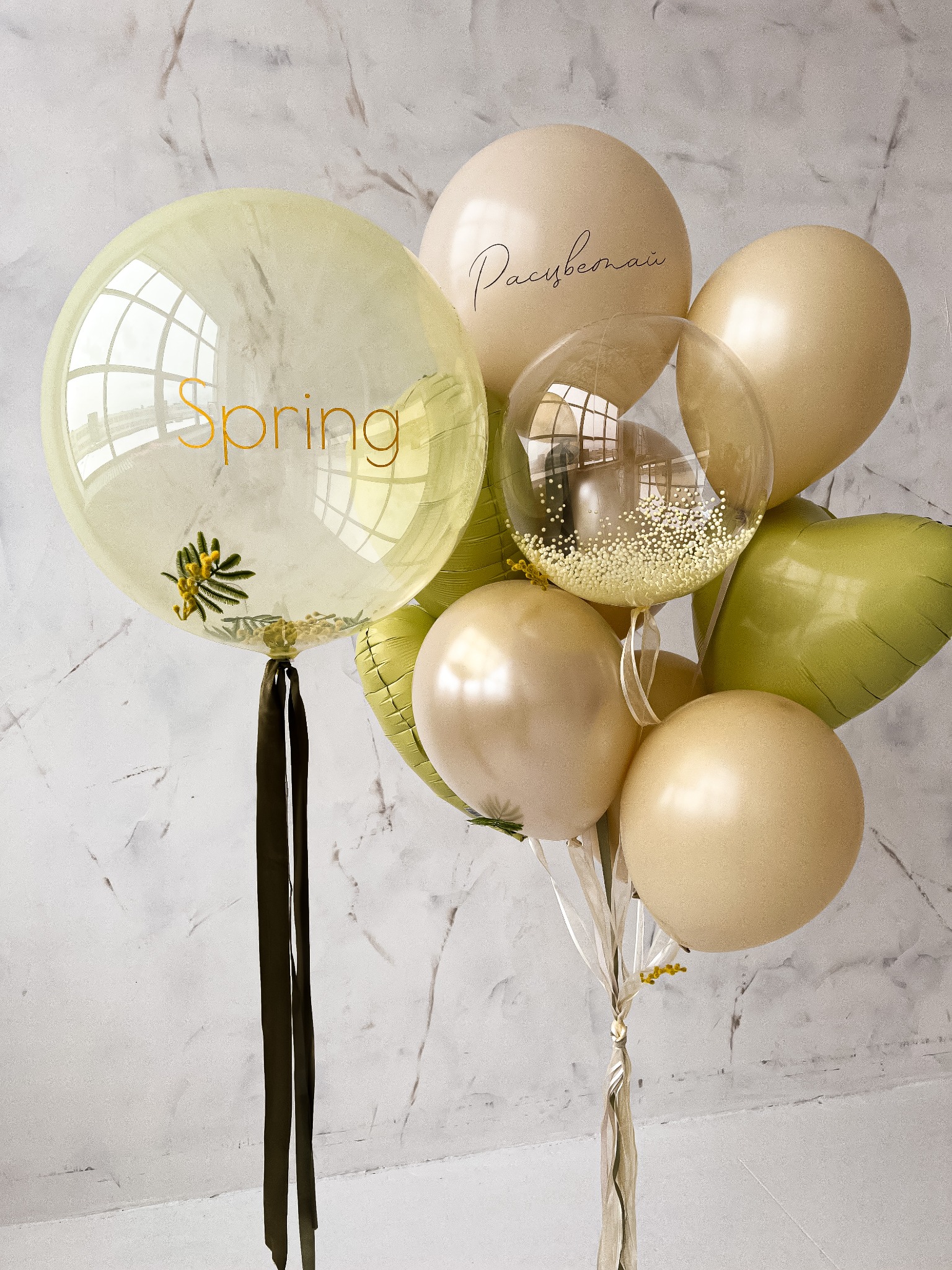 Kompozycja z beżowych, zielonych i przezroczystych balonów z napisami 'Spring' i 'Расцветай', wypełnionych konfetti i gałązkami mimozy, na tle marmurowej ściany.