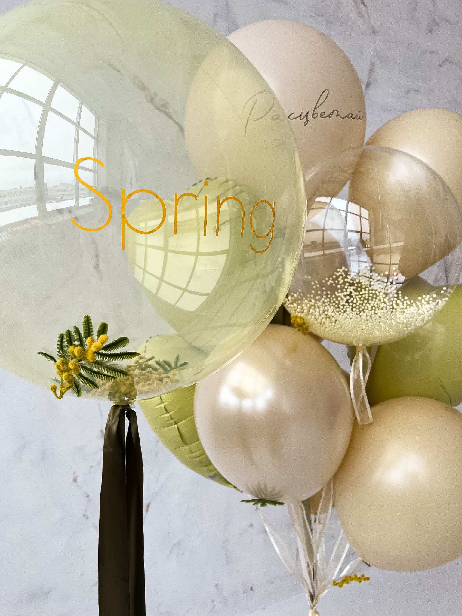 Kompozycja z pastelowych balonów w odcieniach beżu i zieleni, z przezroczystym balonem z napisem Spring i gałązkami mimozy wewnątrz, oraz balonem wypełnionym drobnymi, złotymi kuleczkami.