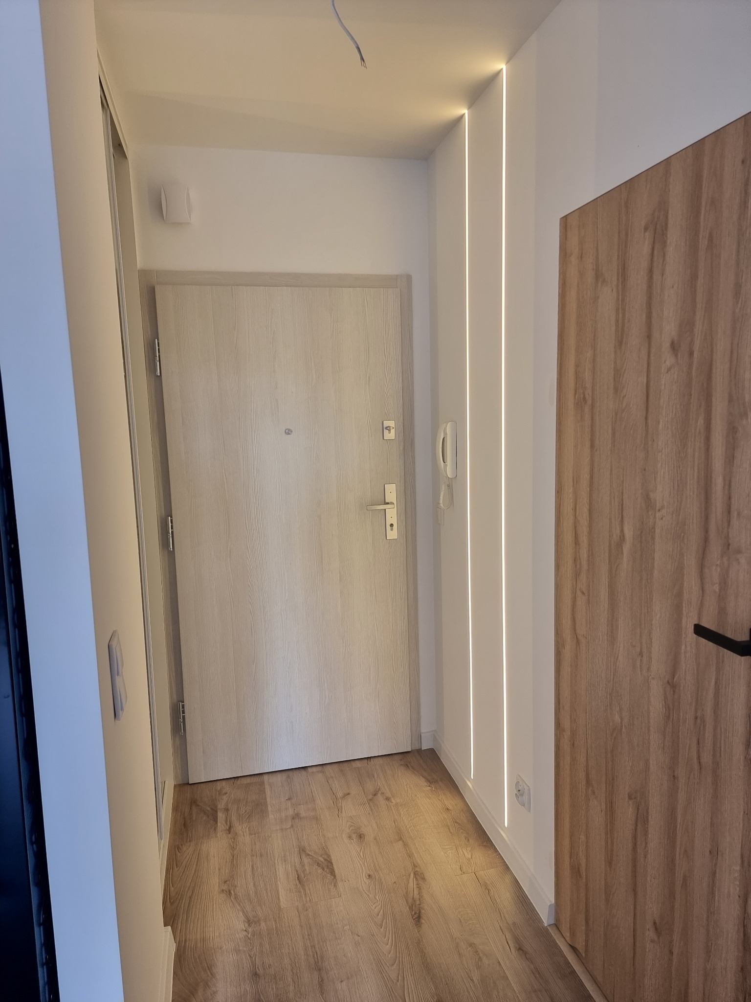 Wnętrze przedpokoju z drewnopodobną podłogą, dwoje drzwi, w tym jedne z czarną klamką, pionowe oświetlenie LED w ścianie, białe ściany i sufit.