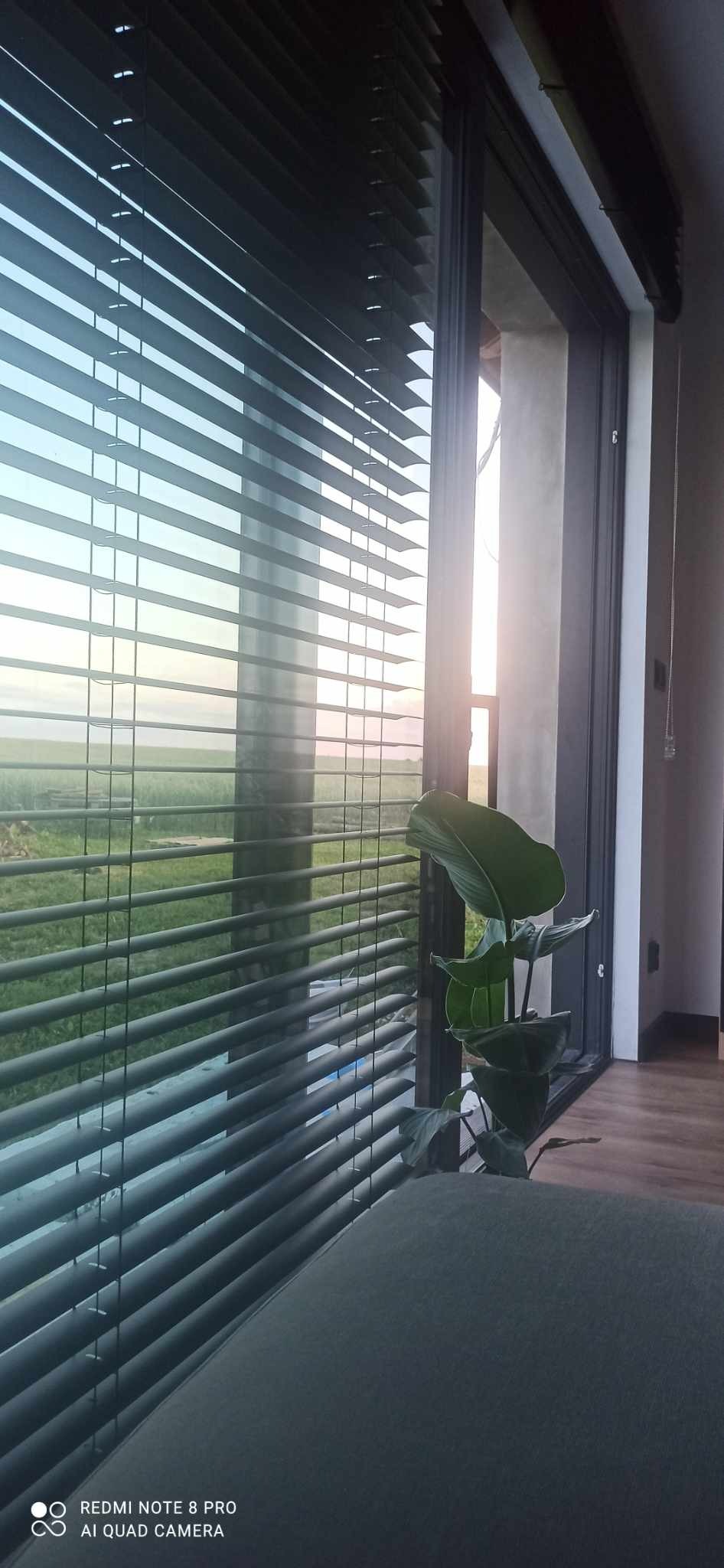 Ciemne żaluzje poziome w oknie z widokiem na zielone pole o zachodzie słońca, roślina doniczkowa w pobliżu okna.