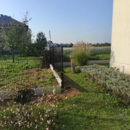 Nowo postawione, czarne, metalowe ogrodzenie panelowe na betonowej podmurówce, widok z ogrodu w słoneczny dzień. Kot obserwuje otoczenie zza krzewów.